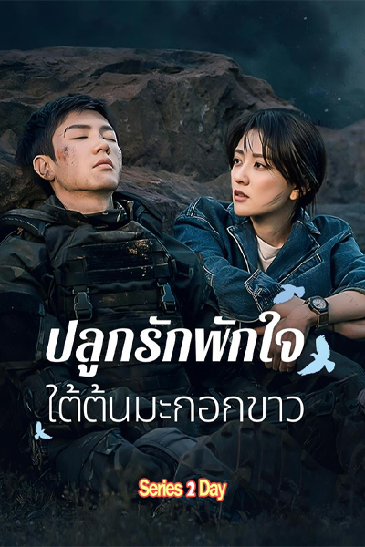 ดูซีรี่ย์ The White Olive Tree ปลูกรักพักใจ ใต้ต้นมะกอกขาว (2025) พากย์ไทย EP.1-38 (จบ)