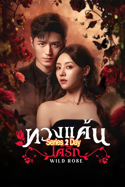 ซีรี่ย์จีน Wild Rose ทวงแค้นได้รัก (2025) ซับไทย EP1-24 (จบ)