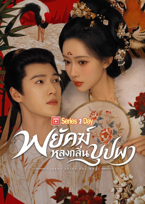 ดูซีรี่ย์ Tigers Sniff the Rose พยัคฆ์หลงกลิ่นบุปผา (2026) ซับไทยพากย์ไทย EP1-40 (จบ)